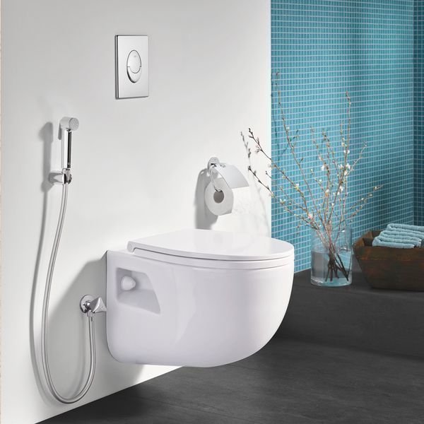 Лійка для гігієнічного душу Grohe Tempesta-F Trigger Spray 30 27512001 CV030539 фото